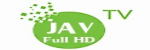 Fjav 접속불가