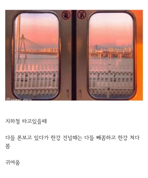 사실 서울사람들도 좋아함