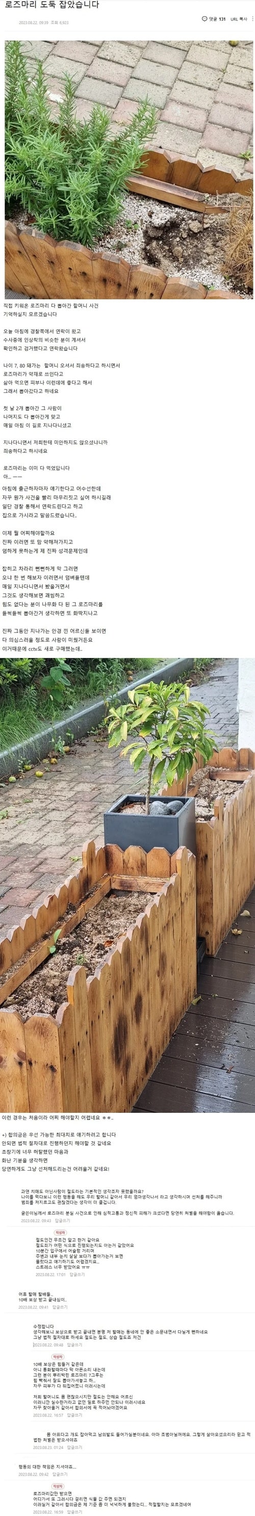 미친할매네