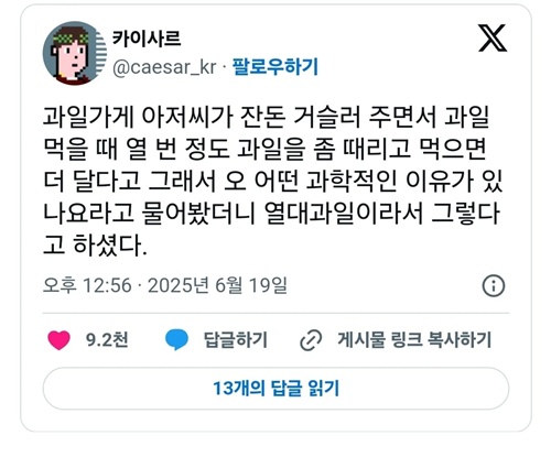 열대 과일이니까